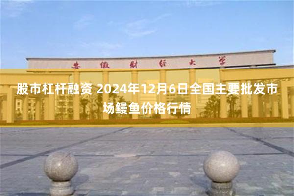 股市杠杆融资 2024年12月6日全国主要批发市场鳗鱼价格行情