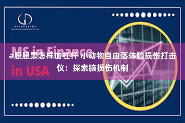 a股股票怎样加杠杆 小动物自由落体脑损伤打击仪：探索脑损伤机制