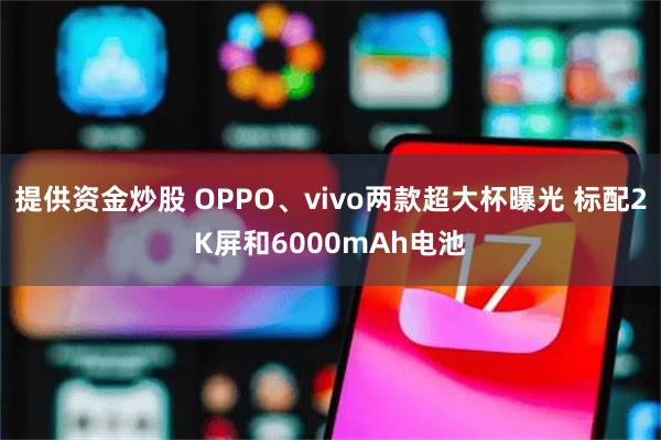 提供资金炒股 OPPO、vivo两款超大杯曝光 标配2K屏和6000mAh电池