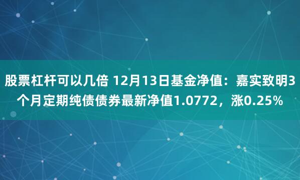 股票杠杆可以几倍 12月13日基金净值：嘉实致明3个月定期纯债债券最新净值1.0772，涨0.25%