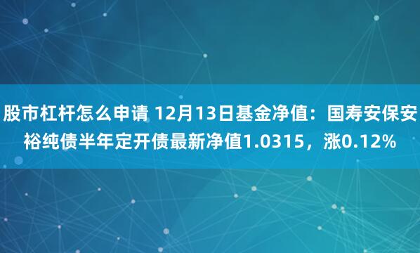 股市杠杆怎么申请 12月13日基金净值：国寿安保安裕纯债半年定开债最新净值1.0315，涨0.12%