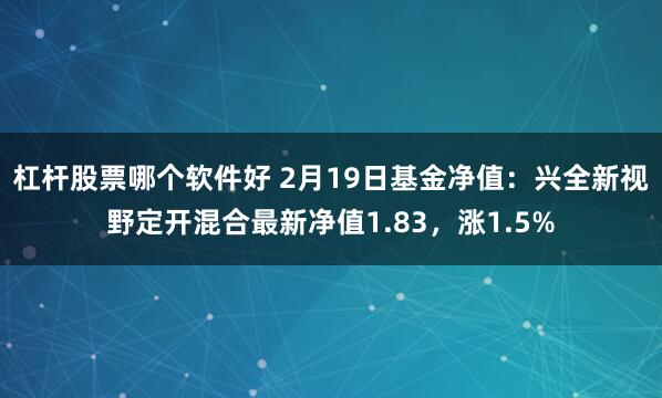 杠杆股票哪个软件好 2月19日基金净值：兴全新视野定开混合最新净值1.83，涨1.5%