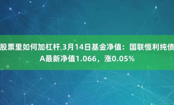 股票里如何加杠杆 3月14日基金净值：国联恒利纯债A最新净值1.066，涨0.05%